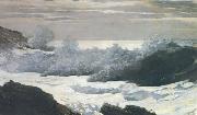 Winslow Homer Early Morning After a Storm at Sea (mk44)